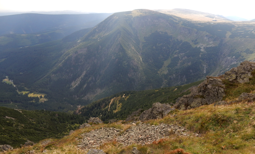 Stacks Image 18034